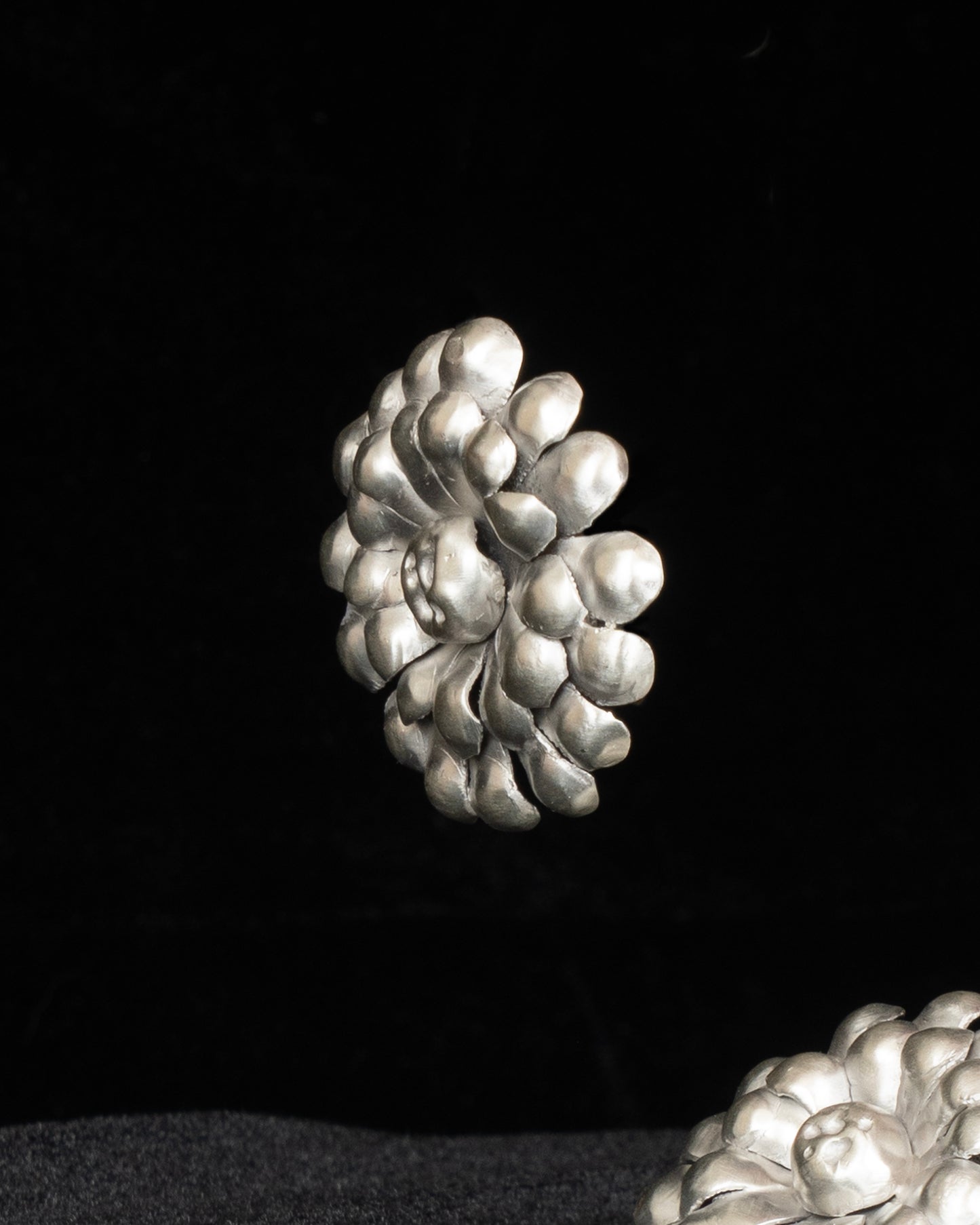 ear ZM34