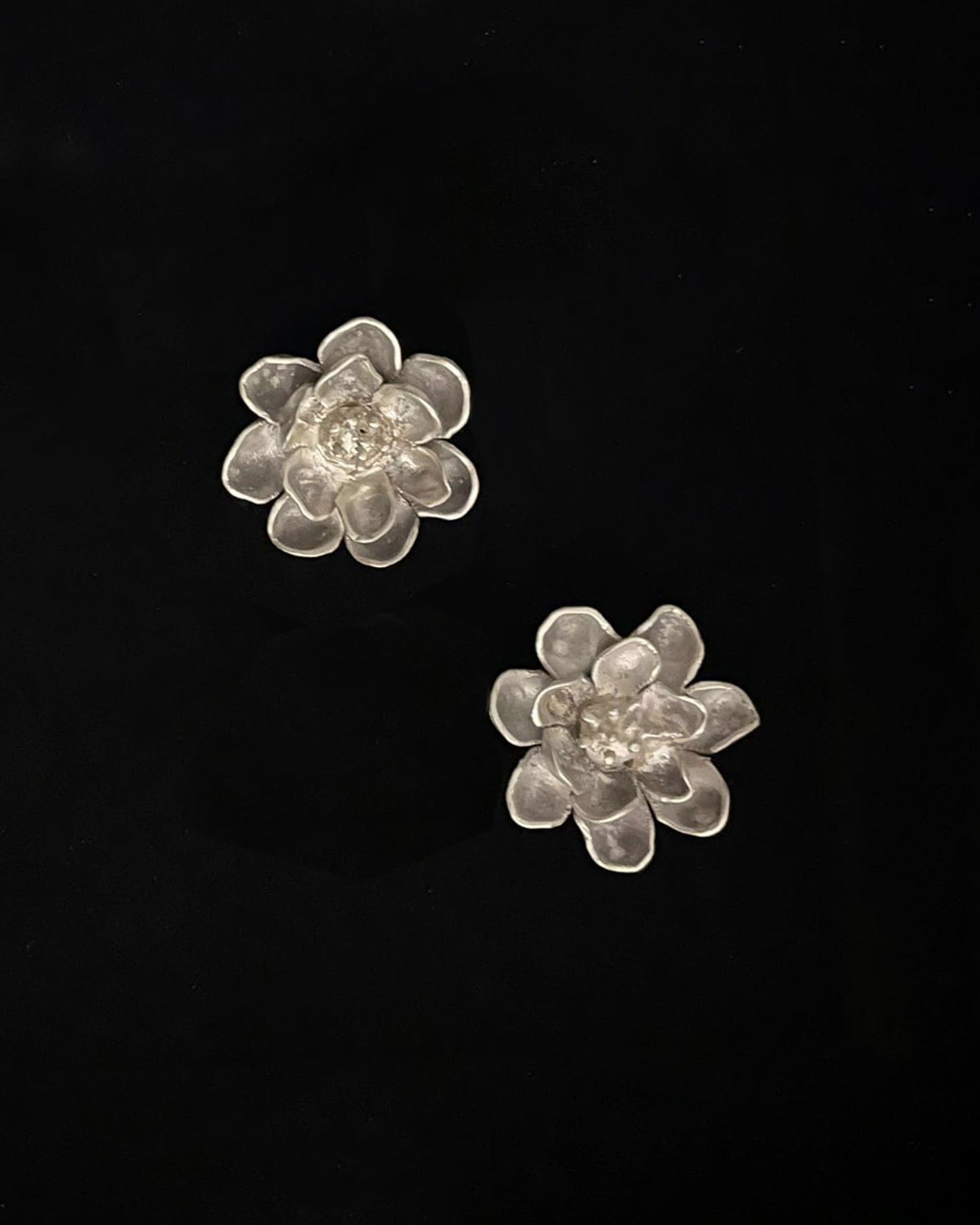 ear ZM41