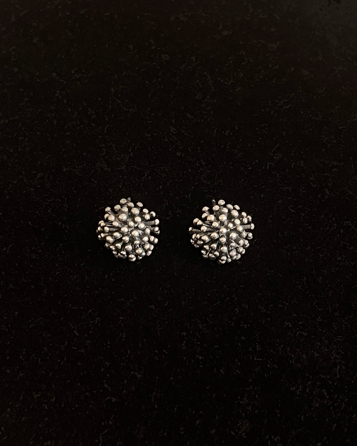 ear D2404