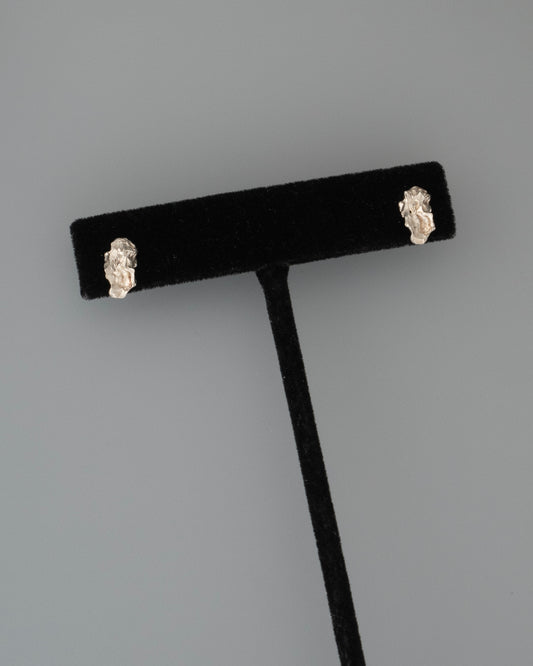 ear J2564