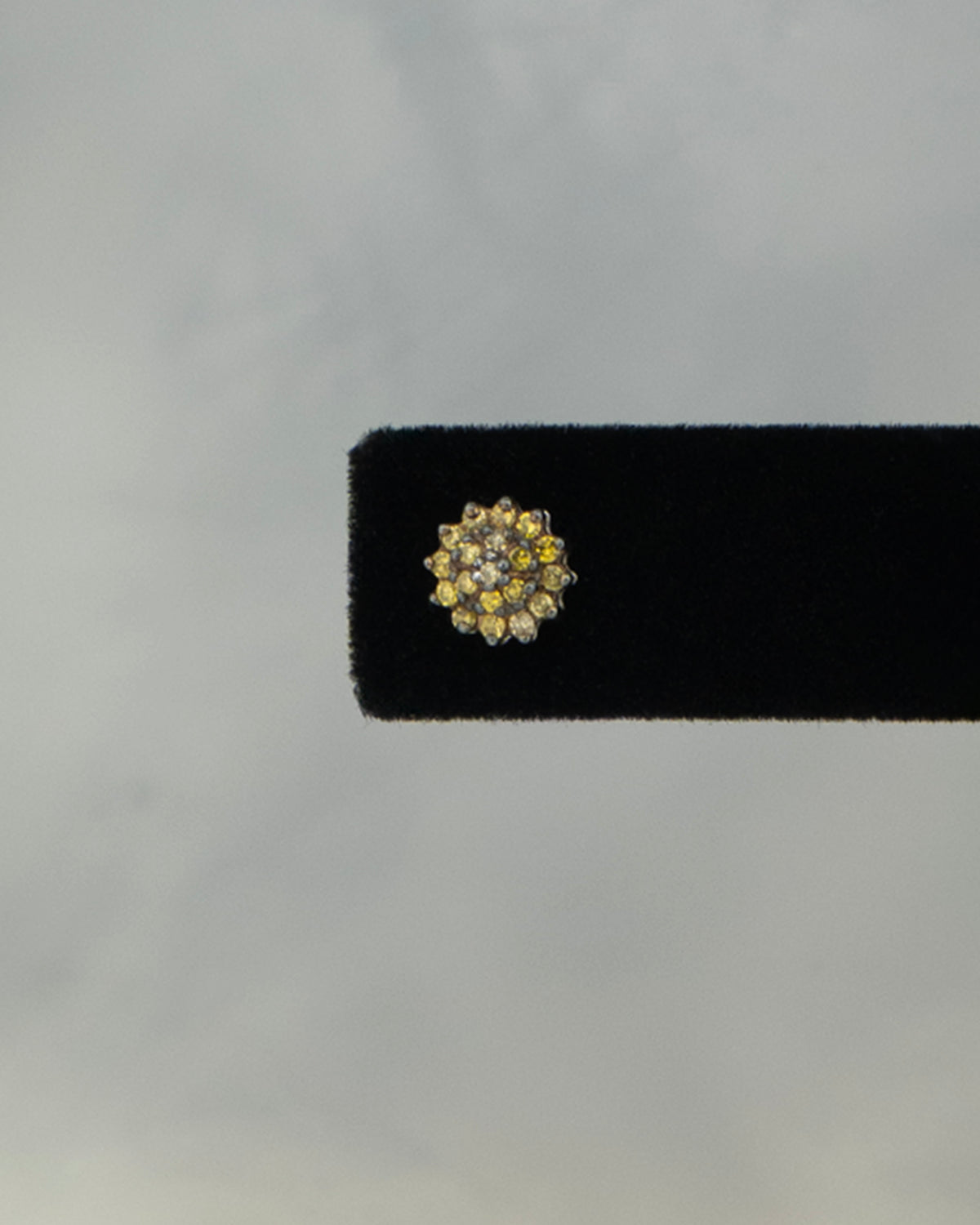ear A2648
