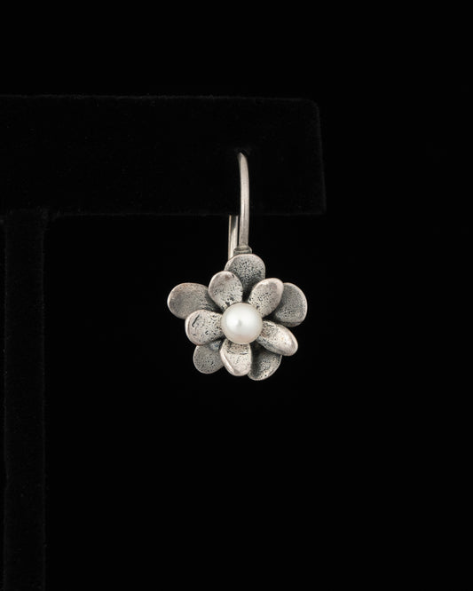 ear J2673