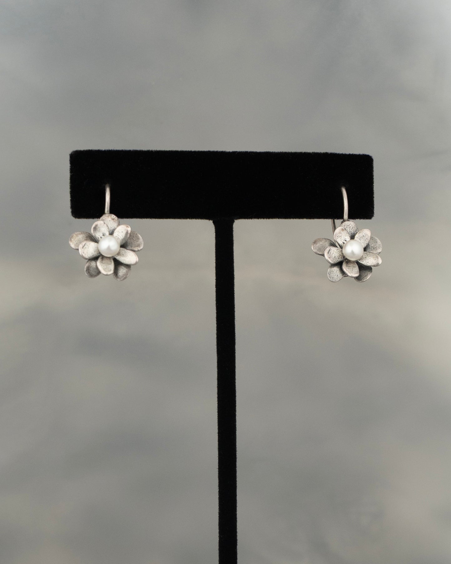 ear J2673