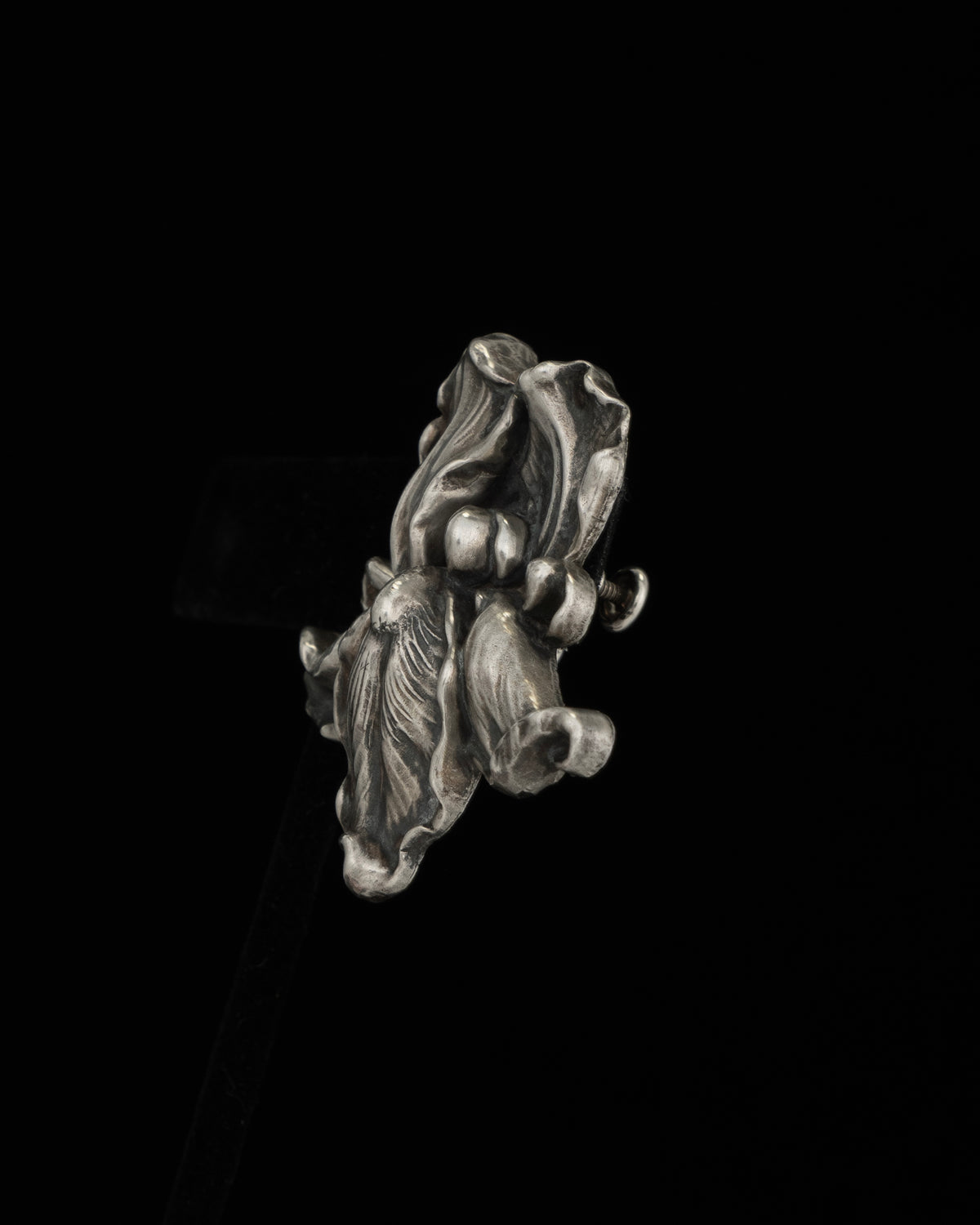 ear S2602