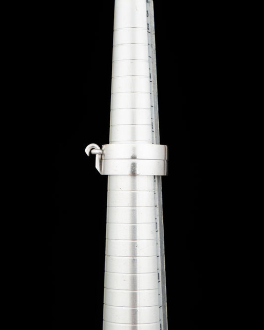 fing J26101