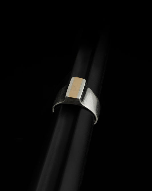 fing S2620