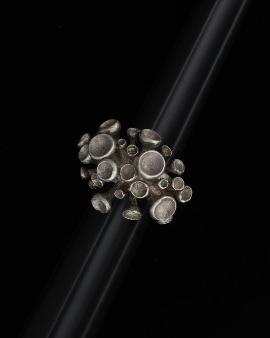 fing S2627